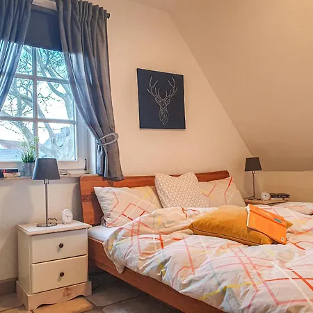 Kormoran 13 * Zingst